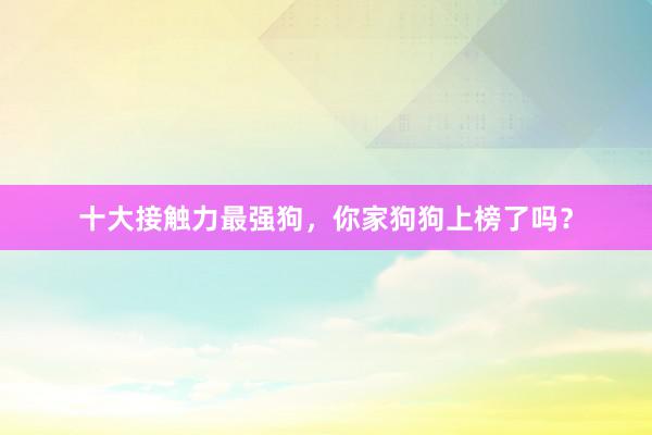 十大接触力最强狗，你家狗狗上榜了吗？