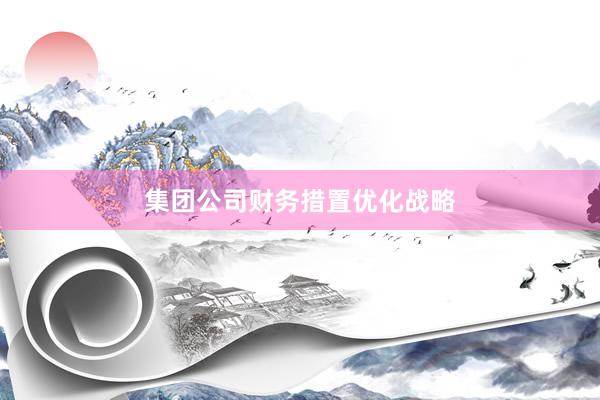 集团公司财务措置优化战略