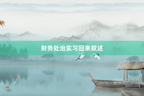 财务处治实习回来叙述